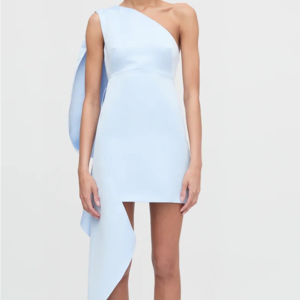 NWT Hill House blue dress. Satin with a train - can be worn long or bustled.